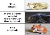 The skull: How aliens would reconstruct the animal: The animal: boredaanda.com