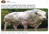 krat 00 @KWholesaler wow i can't believe kumail nanjiani's transformation for this marvel movie 8:02 PM · Jan 2, 2021 · Twitter Web App