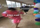 Grandmas House 5 y/o me full of curiosity Her cat