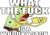WHAT THE F--- ISA WHOOKY SACK