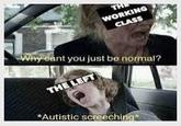 THE WORKING CLASS Why cant you just be normal? THE LEFT *Autistic screeching*