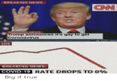 BREAKING NEWS CNN BREAKING NEWS Trump announces it's gay to get Coronavirus Related Fupimeme LIVE BREAKING NEWS COVID-19 RATE DROPS TO 0% Big if true