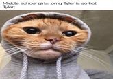 Middle s-----------: omg Tyler is so hot Tyler: made with mematic