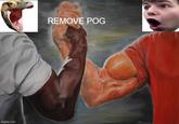 REMOVE POG imgflip.com
