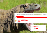 B955.1/ COMPANY REGISTRATION / KOMODOHYPE (PTY) LTD Troy Dota to Thank you. to me - Dear Mr I confirm that KomodoHype has been registered