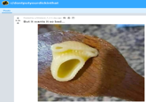 r/dontputyourdickinthat Posts Posted by u/Wieland_T_H 1 day ago 9.2k But it wants it so bad..