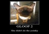 GLOOP 2 She didn't do the yoinky