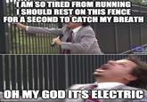 CAM SO TIRED FROM RUNNING ISHOULD REST ON THIS FENCE FOR A SECOND TO CATCH MY BREATH [adult swim) OH MY GOD ITS ELECTRIC imgflip.com (adult swim)