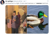 doc garbage @slevemcdichel · Jan 7 who would win in a fight: 10 duck sized meemaws or 1 meemaw sized duck 000