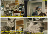 u/marquis orlas See, with enough money and the right doctors you can become a kangaroo. Was it a rough surgery? HOURT Well, at first they just had me sit down and sign all the waivers. After that it got difficult.