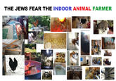 THE JEWS FEAR THE INDOOR ANIMAL FARMER