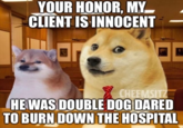 YOUR HONOR, MY CLIENT IS INNOCENT CHEEMSITZ HE WAS DOUBLE DOG DARED TO BURN DOWN THE HOSPITAL