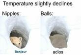 Temperature slightly declines N------: Balls: Bonjour adios