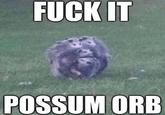 F--- IT POSSUM ORB