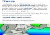 excuse me whta the f--- Nussy The Nussy, or the "nose p----", if you will, was discovered during the corona virus pandemic of 2020. People that had to be tested for Covid-19 had to have their nose swabbed right where the brain connects, which often led to people rolling back their eyes and gagging. A nose-swab-fetish developed from this, because we, as humans, ruin everything. "Oh f--- yeah, swab my nussy" Sir, please, I went to medical school "uwu" excuse me what the f---