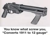 You know what screw you, *Converts 1911 to 12 gauge*