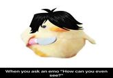 When you ask an emo "How can you even see?"