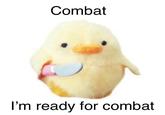 Combat I'm ready for combat