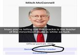 Mitch McConnell Imao you're telling me this cracka is the leader of the minorities? Dude is white as f---. Official portrait, 2016 Senate Minority Leader Incumbent