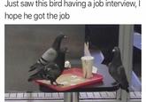 Just saw this bird having a job interview, I hope he got the job