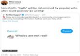 Mike Solana ... @micsolana henceforth, "truth" will be determined by popular vote. what could possibly go wrong? y Twitter Support O @TwitterSupport · 23h * Today we're introducing @Birdwatch, a community-driven approach to addressing misleading information. And we want your help. (1/3) Show this thread Cancel Tweet Whales are not real! 0:58 4.1M views 3:45 PM · Jan 25, 2021 · Twitter Web App