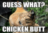 Image macro impact font guess what chicken butt GUESS WHAT? CHICKEN BUTT