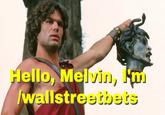 Hello, Melvin, m /wallstreetbets