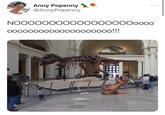 Anny Popenny @AnnyPopenny NOO0000000000000000000 0000000000000000000o!!!