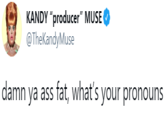 KANDY "producer" MUSE @TheKandyMuse damn ya ass fat, what's your pronouns