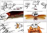 *me and friends SPLAAAAT IT!!!!! chasing cockroach *le splatter Unfortunate roach *SWITCH TO WINGED MODE! NO. RUN BITCHES there is still hope! OMG OMG OMG!!!