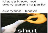 Me: ya know not every parent is perfe- everyone I know: shut