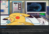 MTI WIPTLAL CAMERA fancydrak: This is a Pikachu dying while having an MRI scan. Before a Pokemon dies, its brain releases tons and tons of endorphins that make it feel a range of emotions. Tragically beautiful.