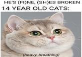 HE'S (FI)NE, (SH)ES BROKEN 14 YEAR OLD CATS: (heavy breathing)