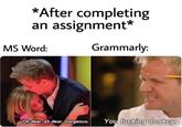 *After completing an assignment* MS Word: Grammarly: Oh dear, oh dear. Gorgeous. You f------ donkey.