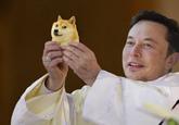 Bless us doge