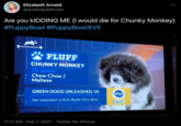 Elizabeth Arnold @queengoldilocks Are you KIDDING ME (I would die for Chunky Monkey) #PuppyBowl #PuppyBowlXVI animal planet #puppybowl FLUFF CHUNKY MONKEY 15 weeks Chow Chow / Maltese GREEN DOGS UNLEASHED, VA Pedigree Her inspiration is Ruth Bader Gins-Bark OPTICALI 11:11 AM · Feb 7, 2021 · Twitter for iPhone