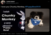 I MISS BWAY @Laurenloves_NYC I love you Chunky Monkey. #PuppyBowlXVII i wish Chunky Monkey a very pleasant FLUFF Puppy Bowl 11:48 AM · Feb 7, 2021 · Twitter for iPhone