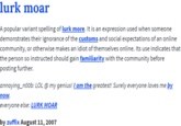 lurk moar A popular variant spelling of lurk more. It is an expression used when someone demonstrates their ignorance of the customs and social expectations of an online community, or otherwise makes an idiot of themselves online. Its use indicates that the person so instructed should gain familiarity with the community before posting further. annoying_n0ob: LOL @ my genius! I am the greatest! Surely everyone loves me by now. everyone else: LURK MOAR by zuffix August 11, 2007
