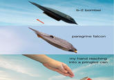 b-2 bomber CHOUG paregrine falcon my hand reaching into a pringles can