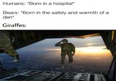 Humans: *Born in a hospital* Bears: *Born in the safety and warmth of a den* Giraffes: