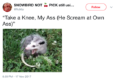 SNOWBIRD NOT PICK still usi... Follow @flubby "Take a Knee, My Ass (He Scream at Own Ass)" 8:59 PM - 17 Nov 2017