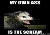MY OWN ASS IS THE SCREAM menegenerator.net