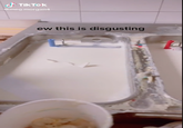 S TikTok @meg.morgan4 ew this is disgusting