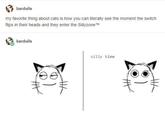 barduils my favorite thing about cats is how you can literally see the moment the switch flips in their heads and they enter the Sillyzone TM barduils silly time