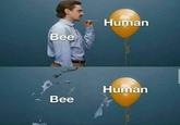 Human Вee Human Bee