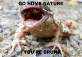 GO HOME NATURE YOU'RE DRUNK