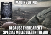 Never forget The Great Oxygenation Event, greatest atrocity in history