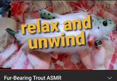 relax and unwind Fur-Bearing Trout ASMR