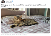 Tim Pool @Timcast This guy is at the top of the org chart over at Timcast media 10:01 AM · Mar 11, 2021 · Twitter for Android