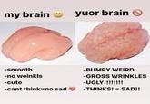 my brain yuor brain O -smooth -BUMPY WEIRD -no weinkls -GROSS WRINKLES -cute -UGLY!!!!!!! -cant think=no sad -THINKS! = SAD!!